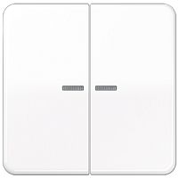 Лицевая панель Jung CD500 для 2-кл. выключателя с подсветкой белый картинка